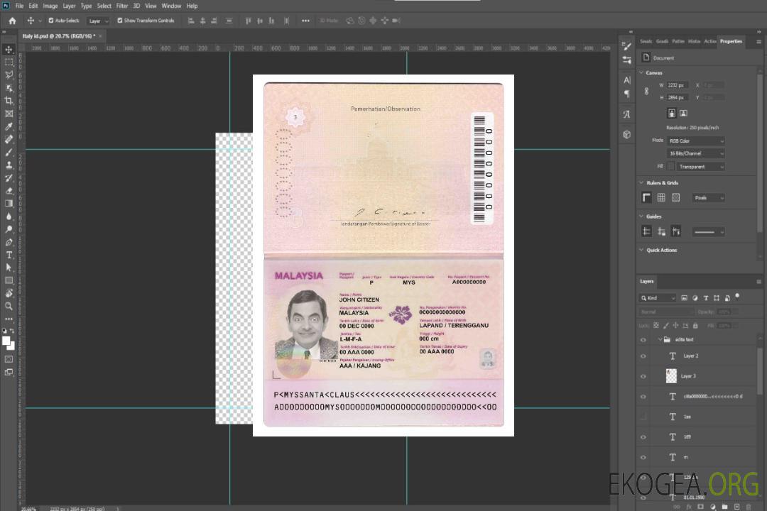 Passeport malaisien (2010-2017) template
